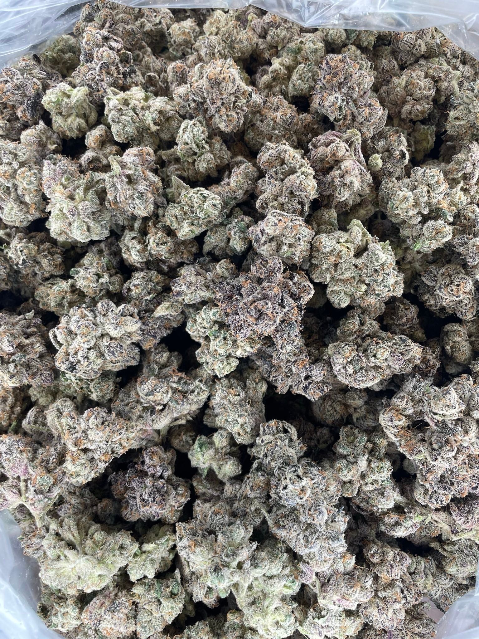 Bulk THCA Flower