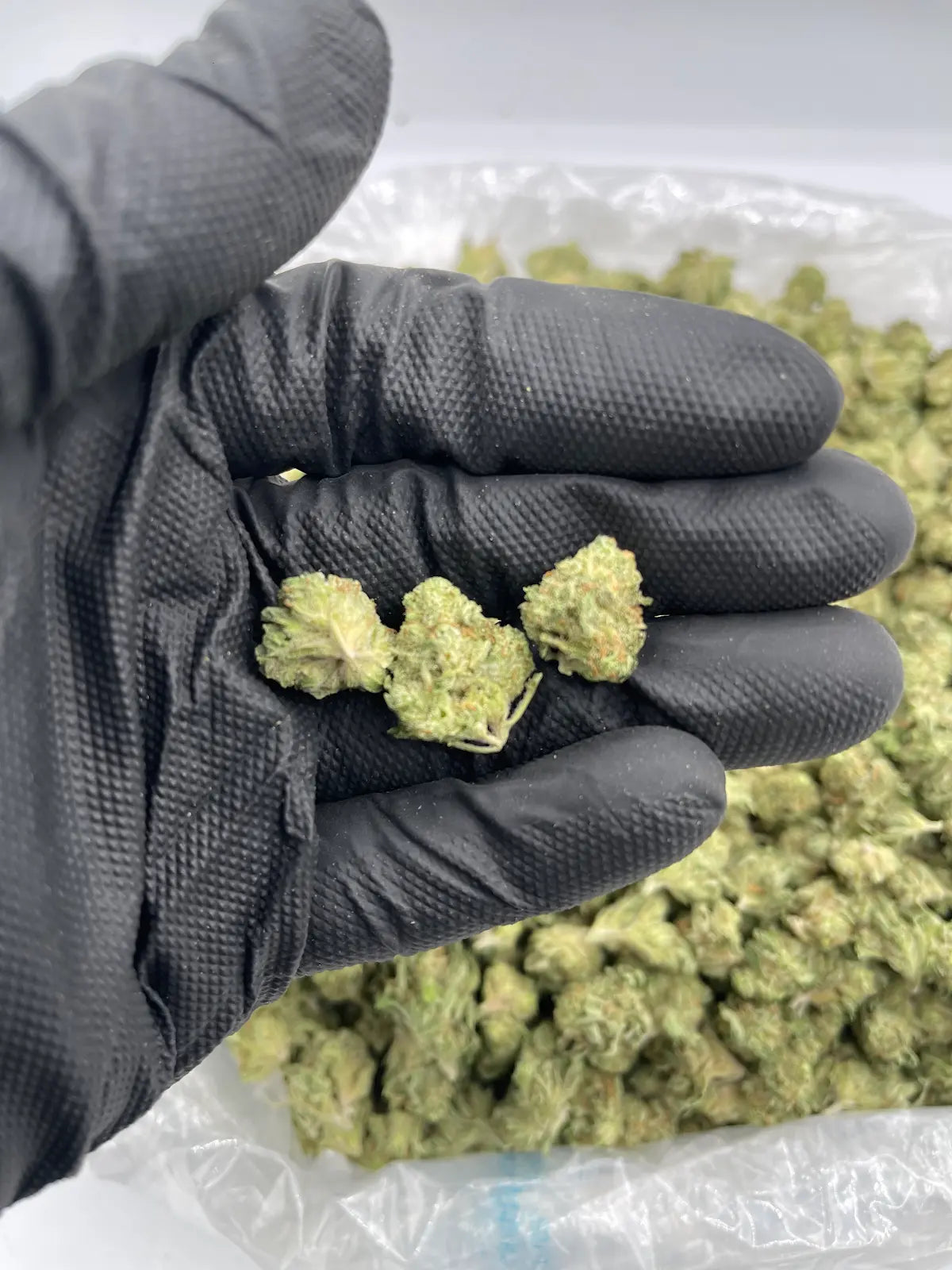 Heavy OG - Smalls