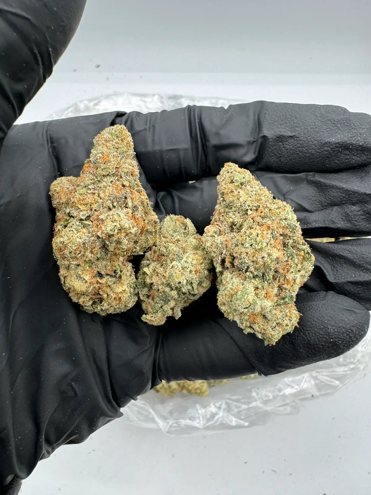 Grapefruit Haze
