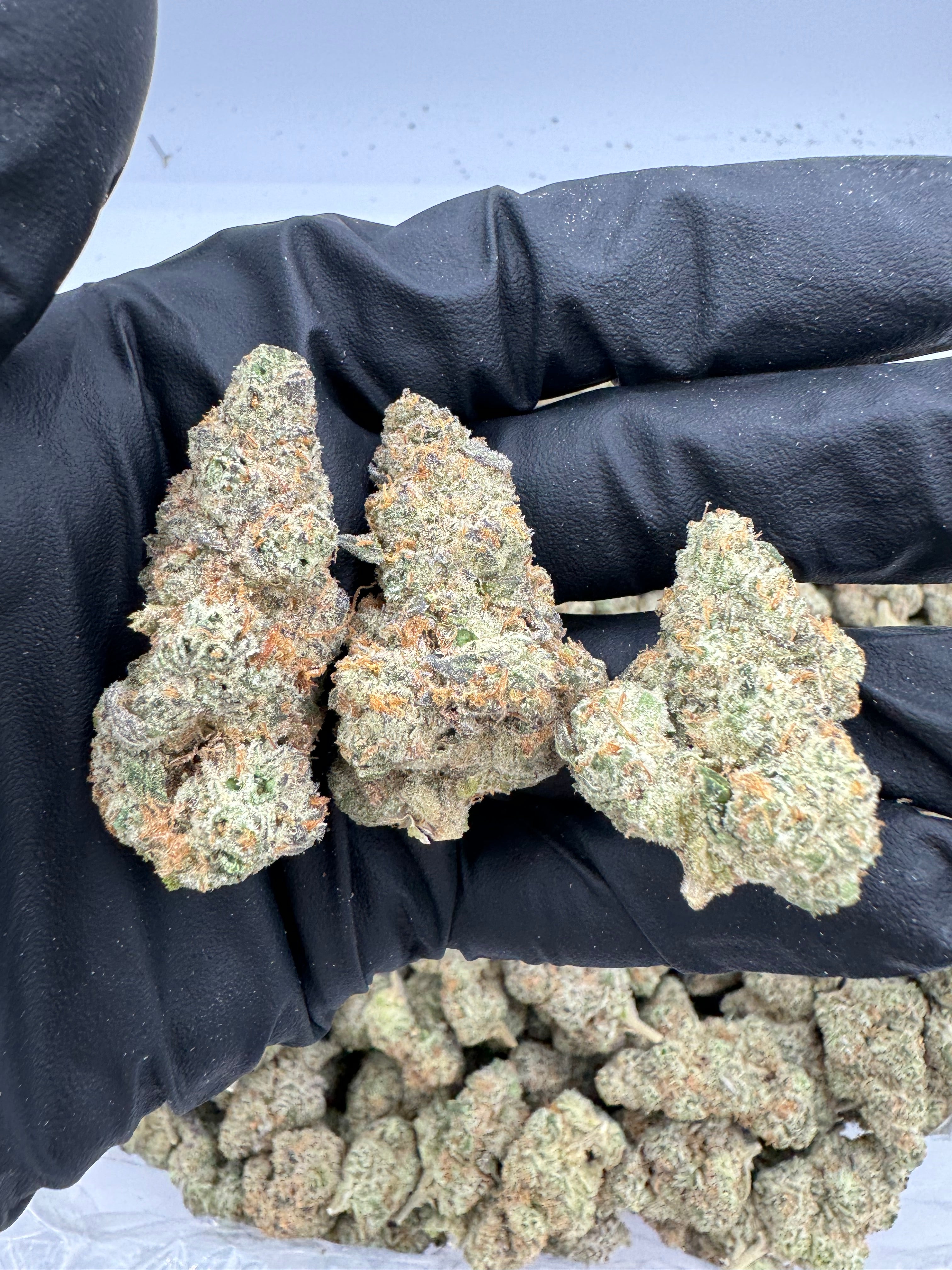 Godfather OG