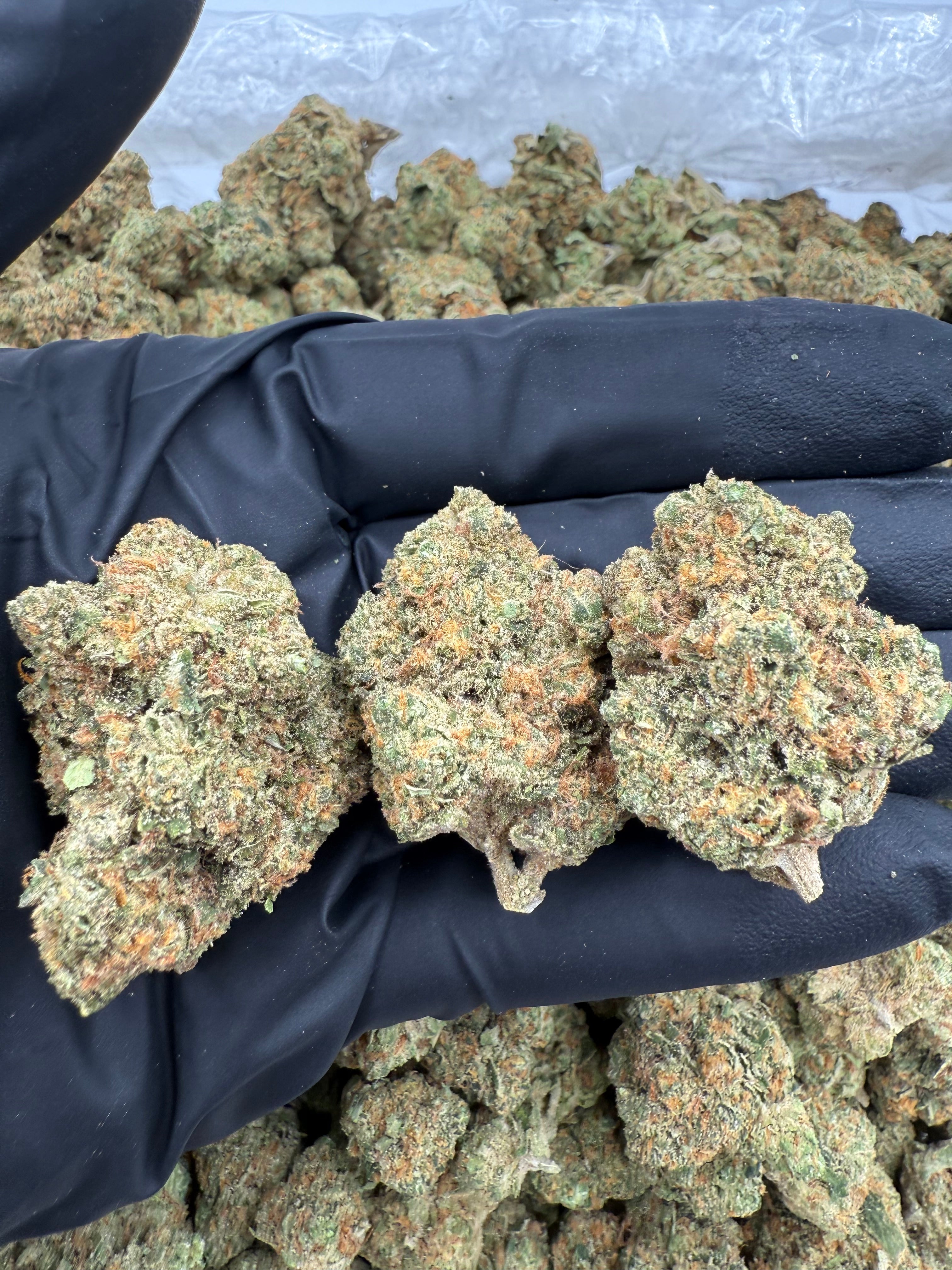 Durban Poison