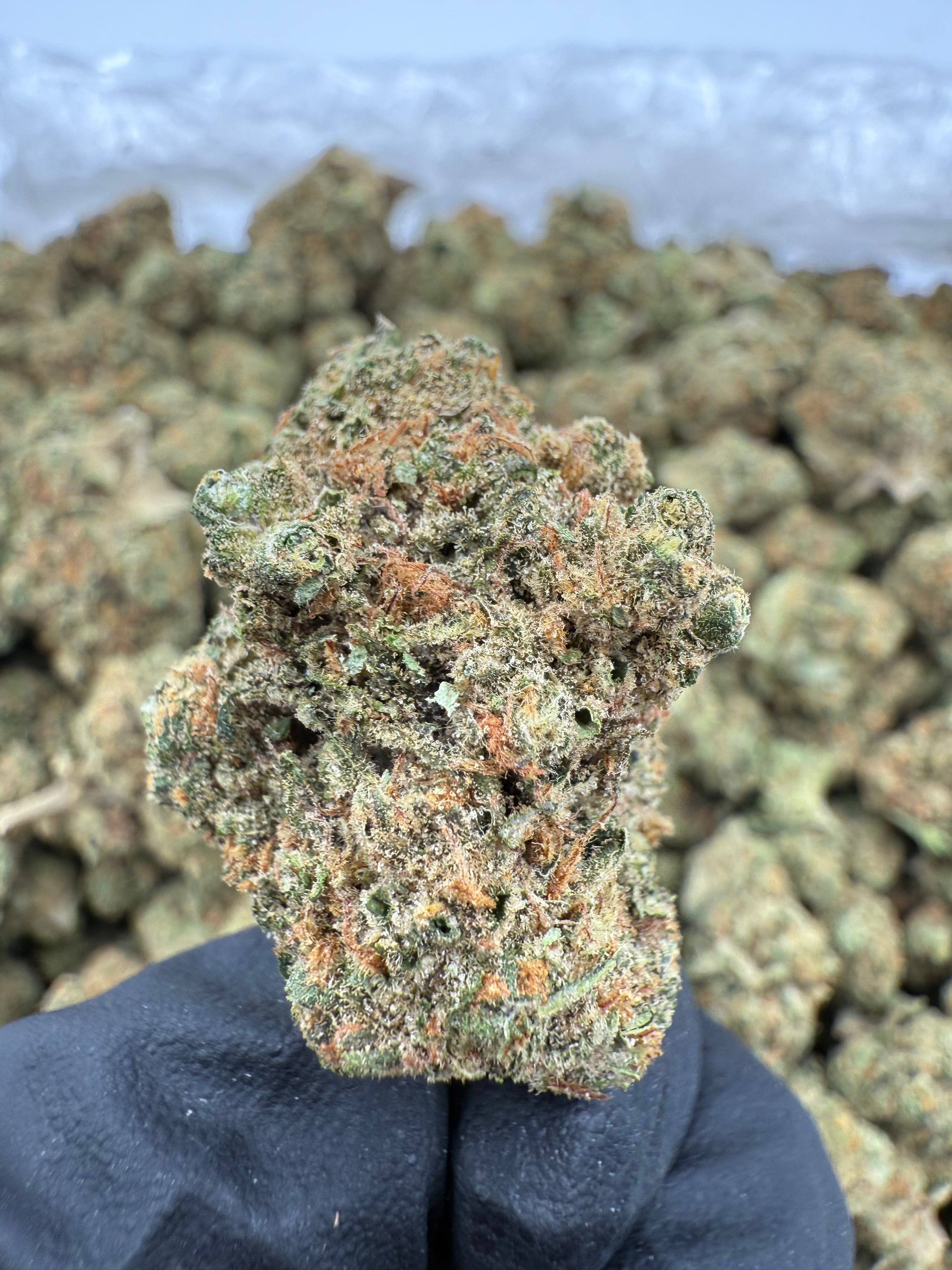 Durban Poison