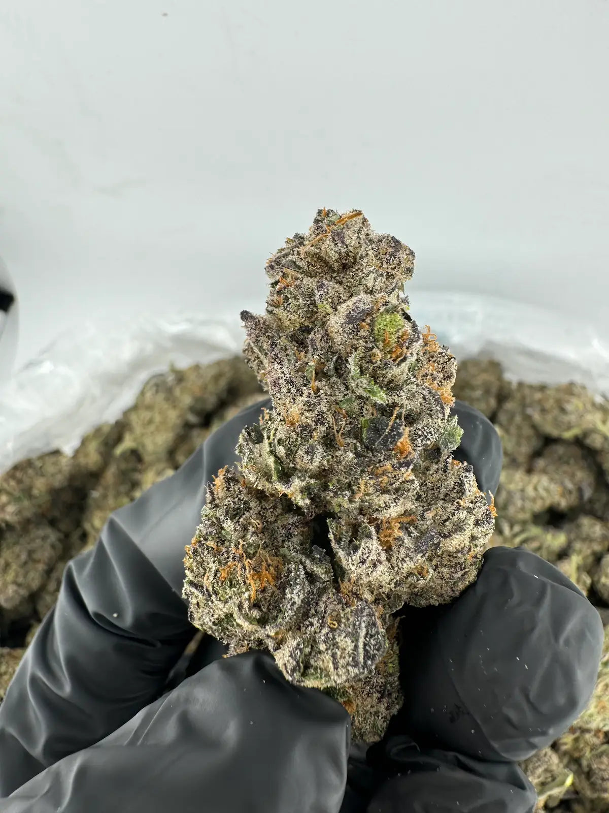 Girl Scout Cookies