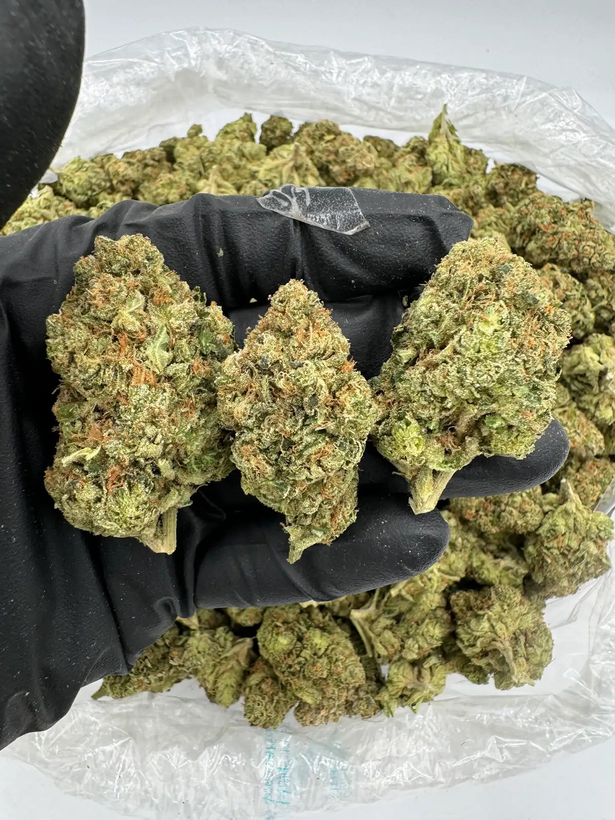 Orange Julius