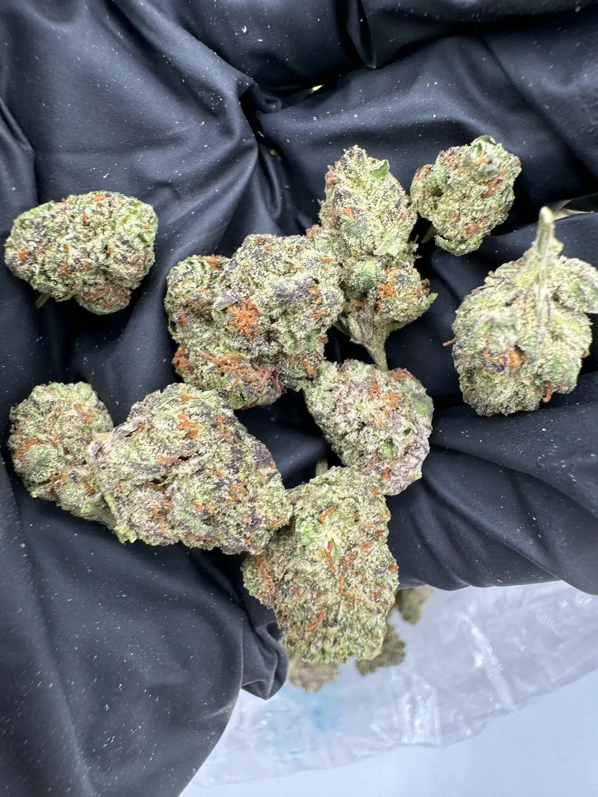 Jelly Cake - Smalls