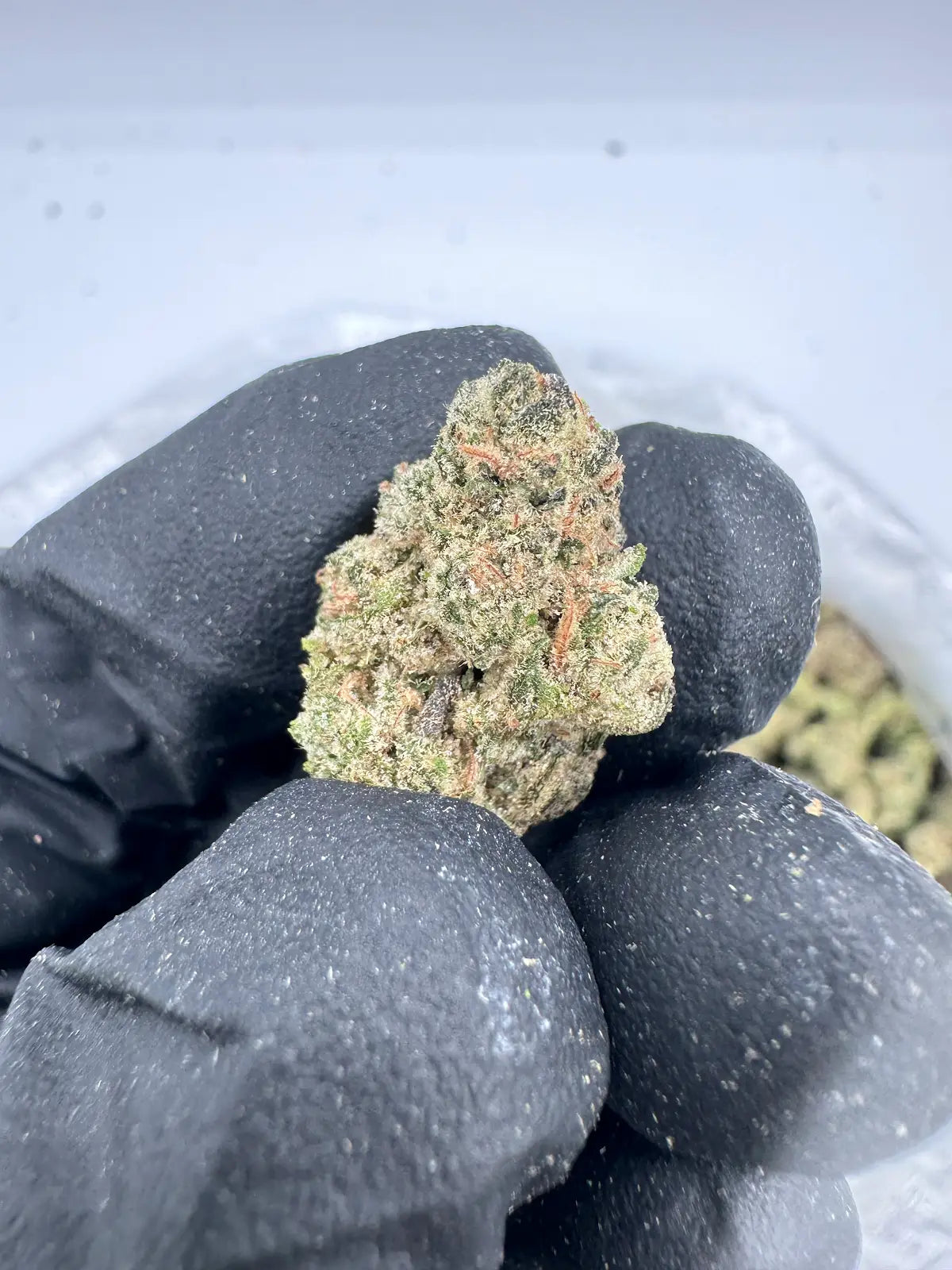 Grape Gasoline - Smalls