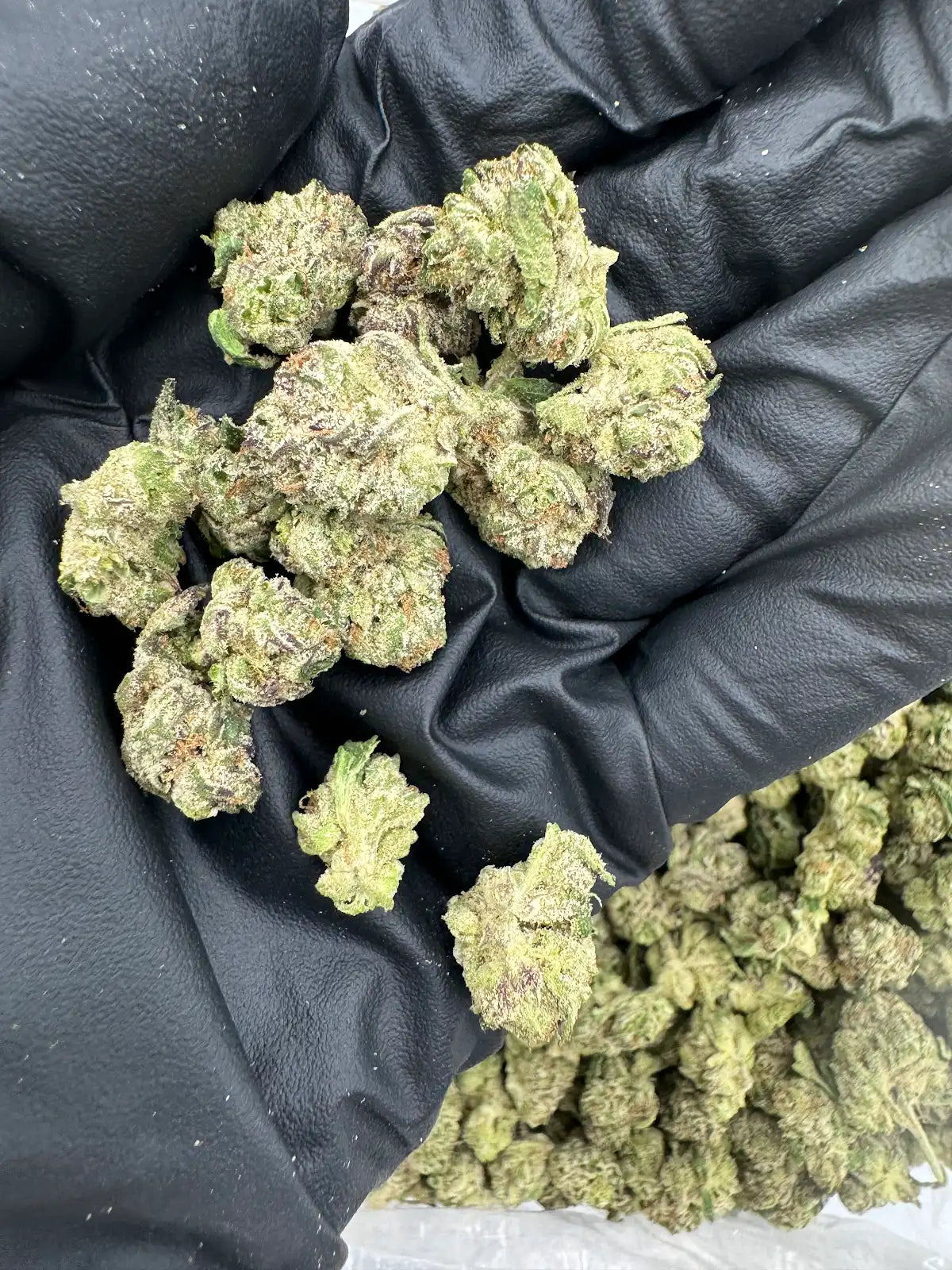 Cosmic Candy - Smalls