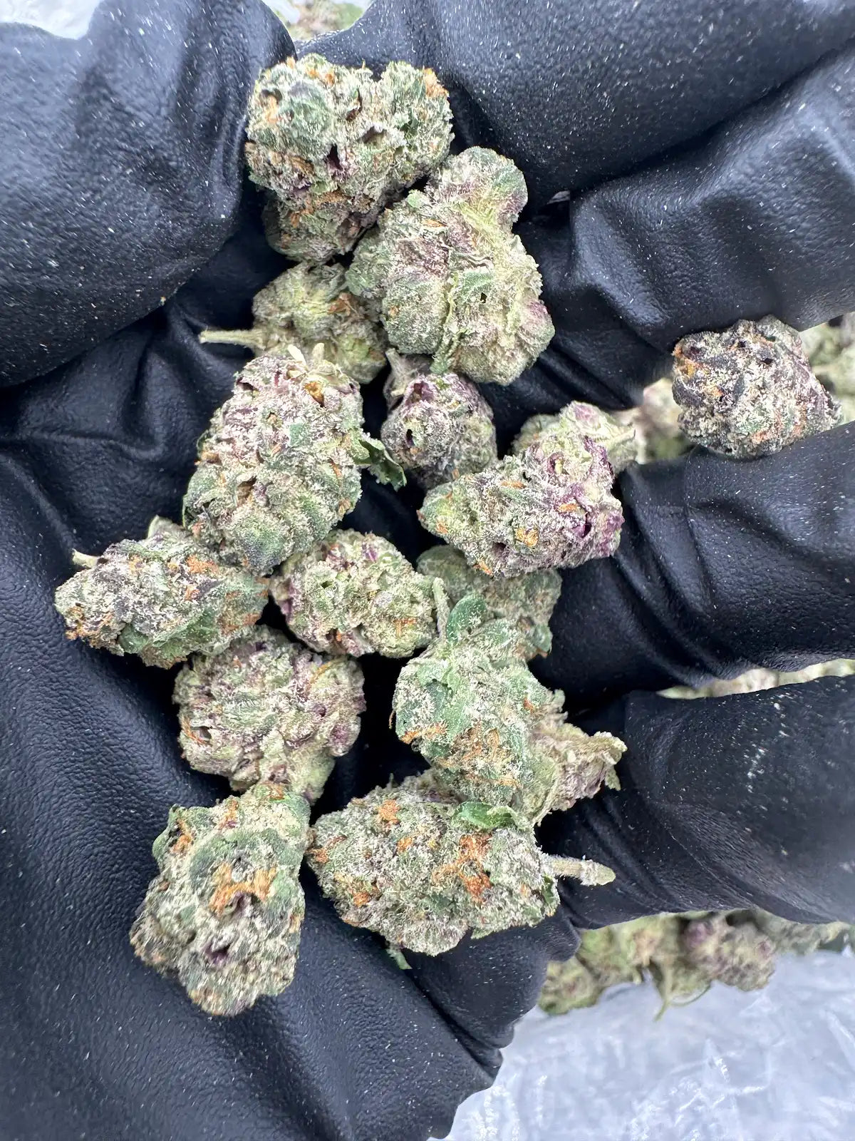 Mint Chocolate Runtz - Smalls