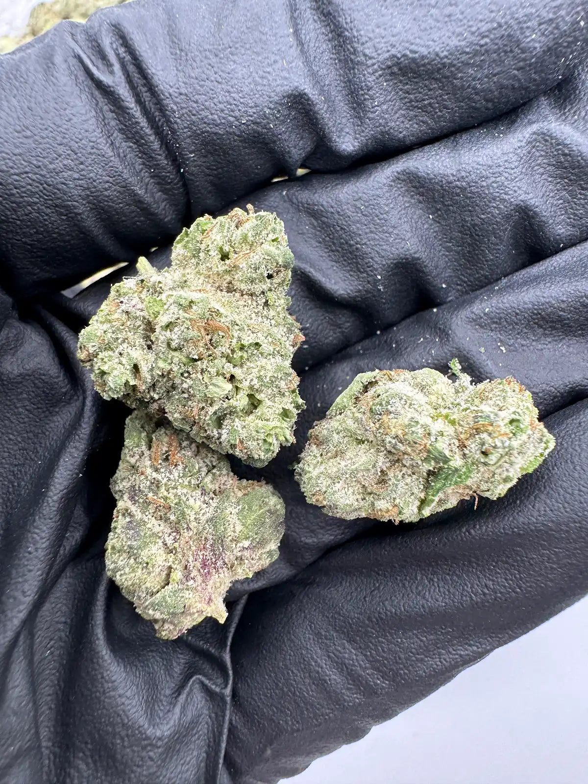 Gelato - Smalls