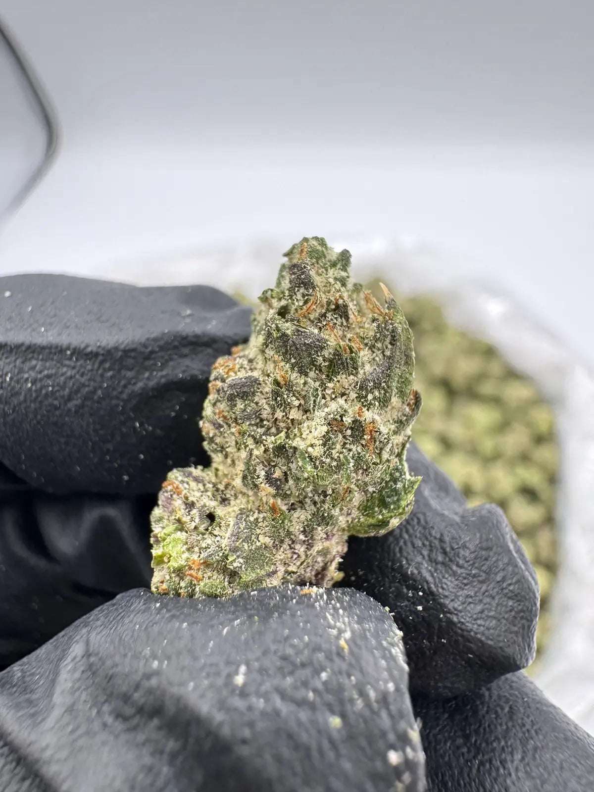 Gelato - Smalls