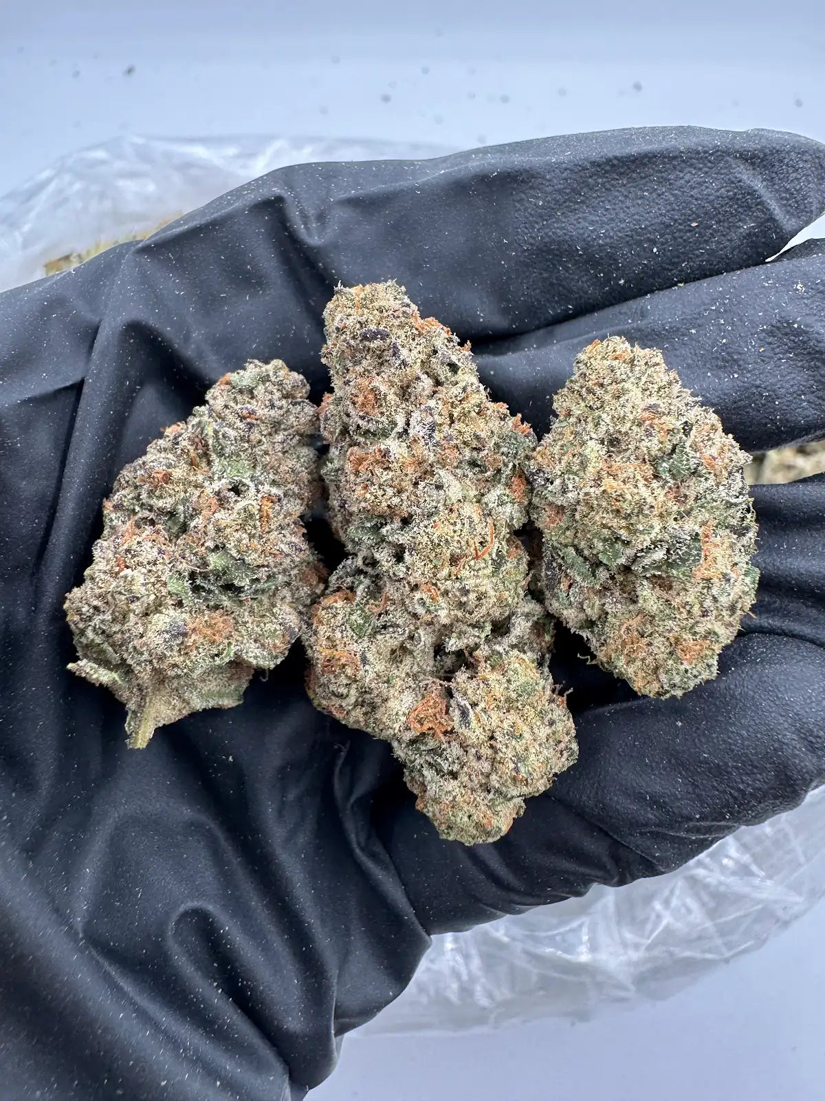 Silver Haze