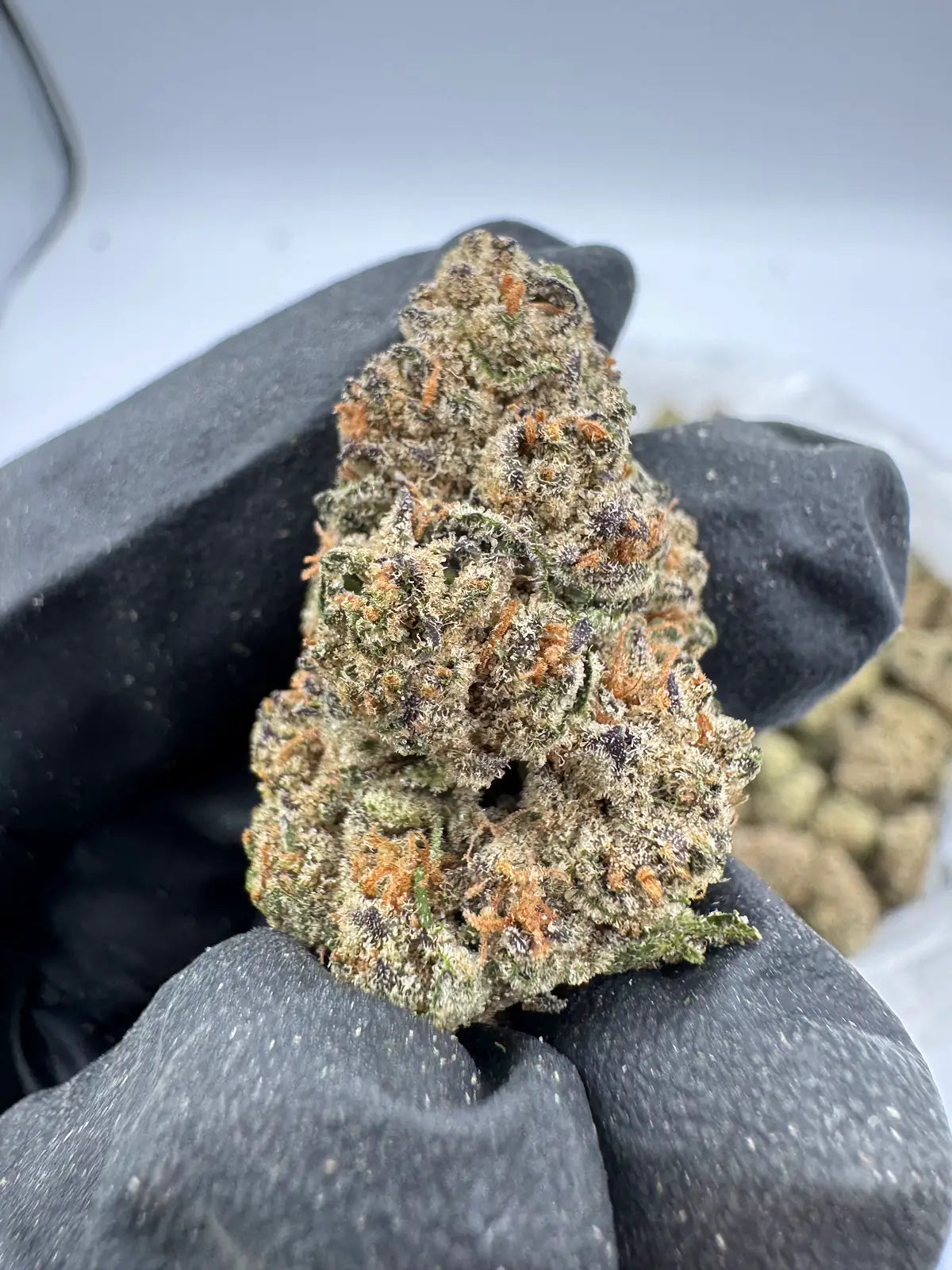 Silver Haze