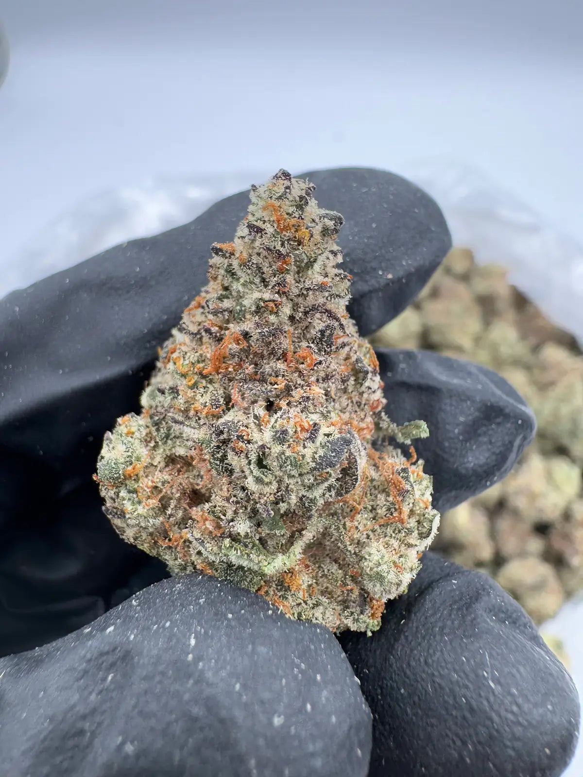 Strawberry Cheesecake