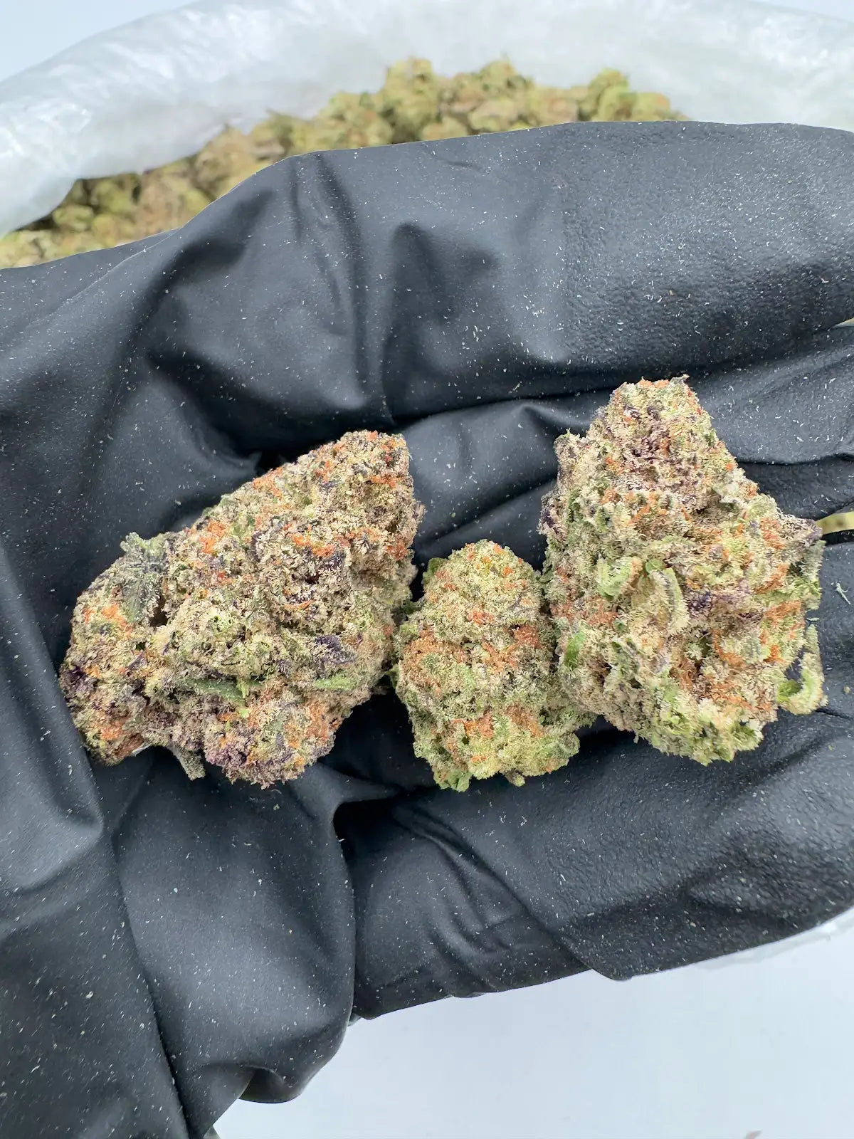 Pink Certz