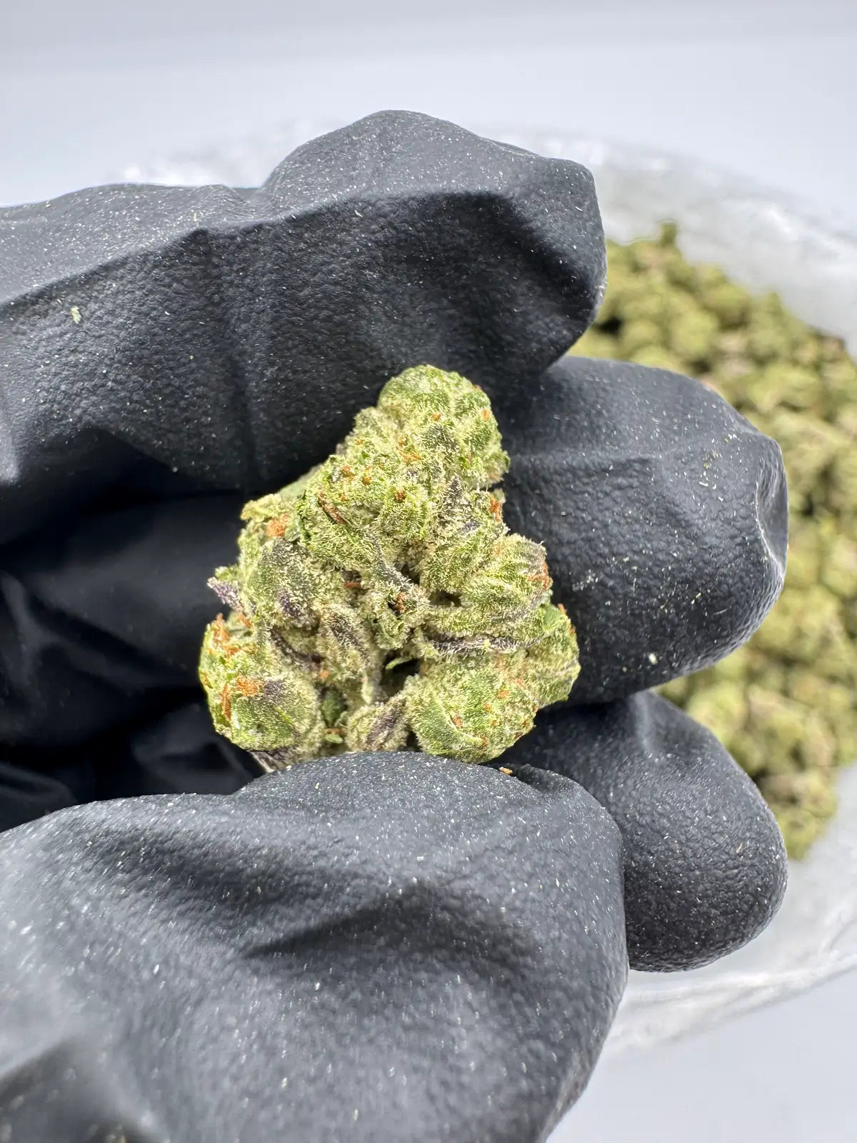 Grape Bubblegum - Smalls