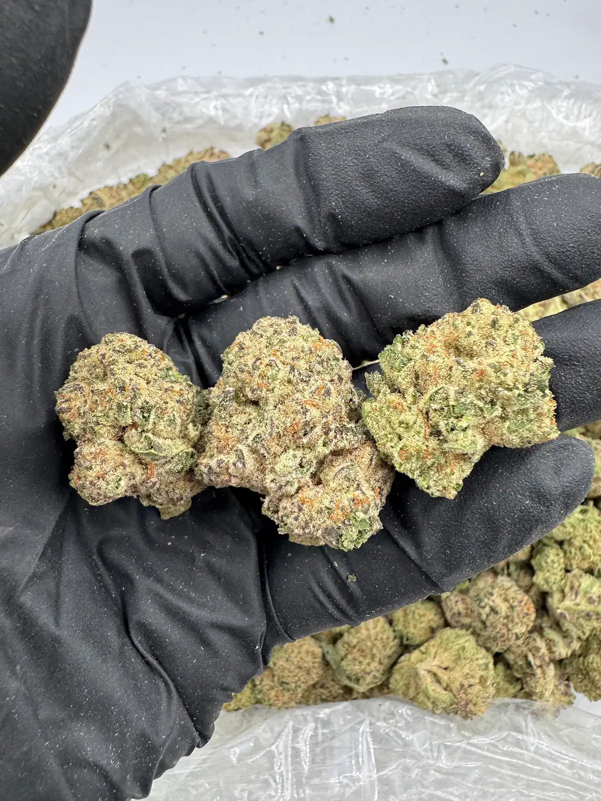 Lemon Haze