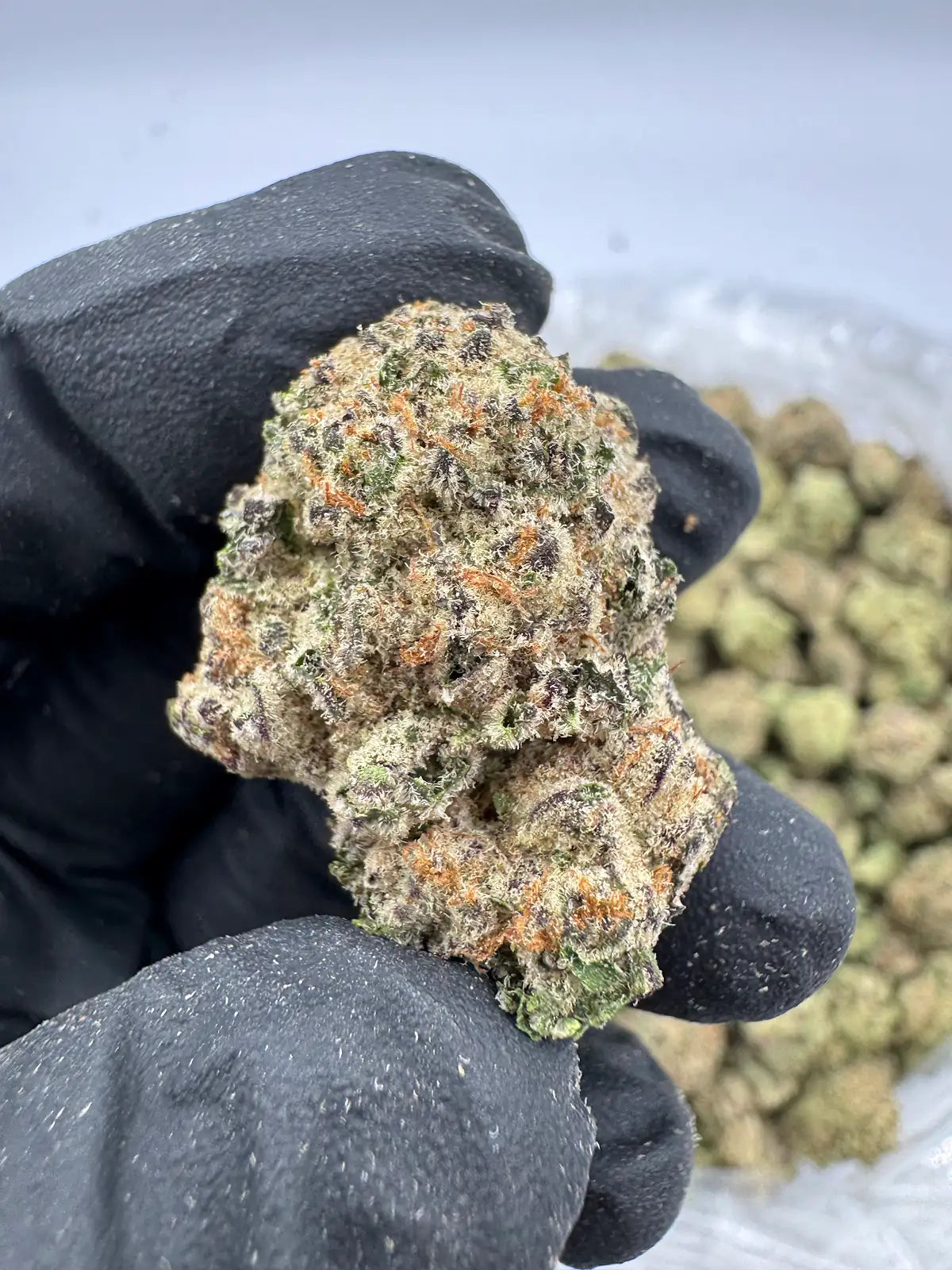 Lemon Haze