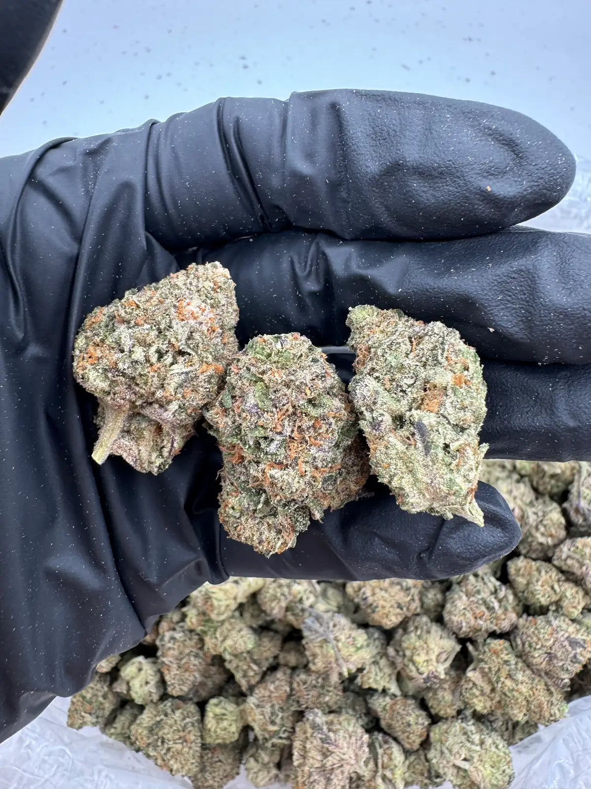 Future Haze