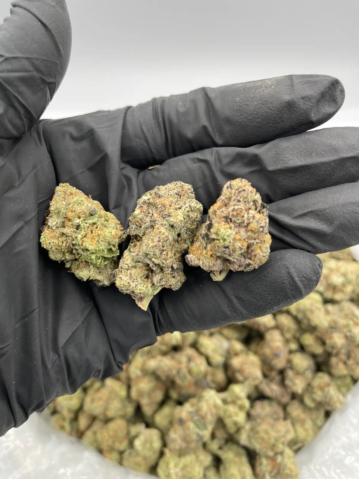 Jet Fuel Gelato