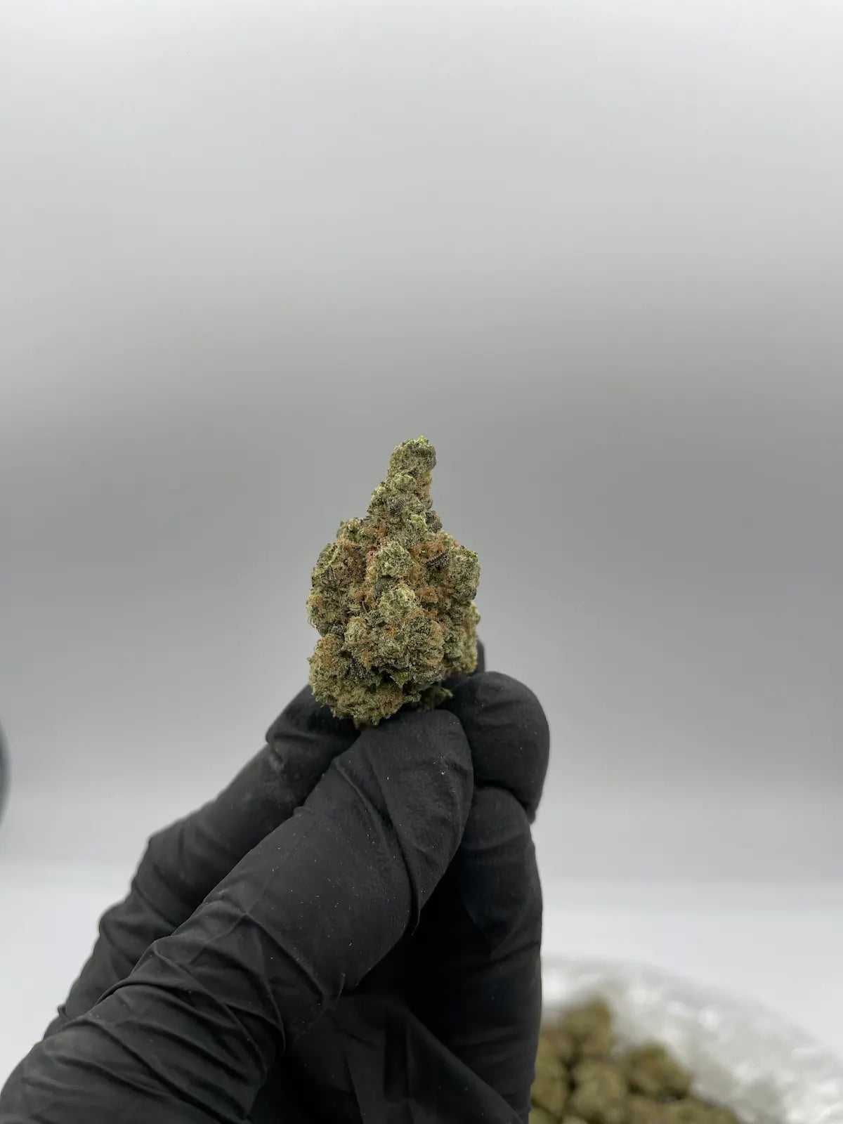 Jet Fuel Gelato