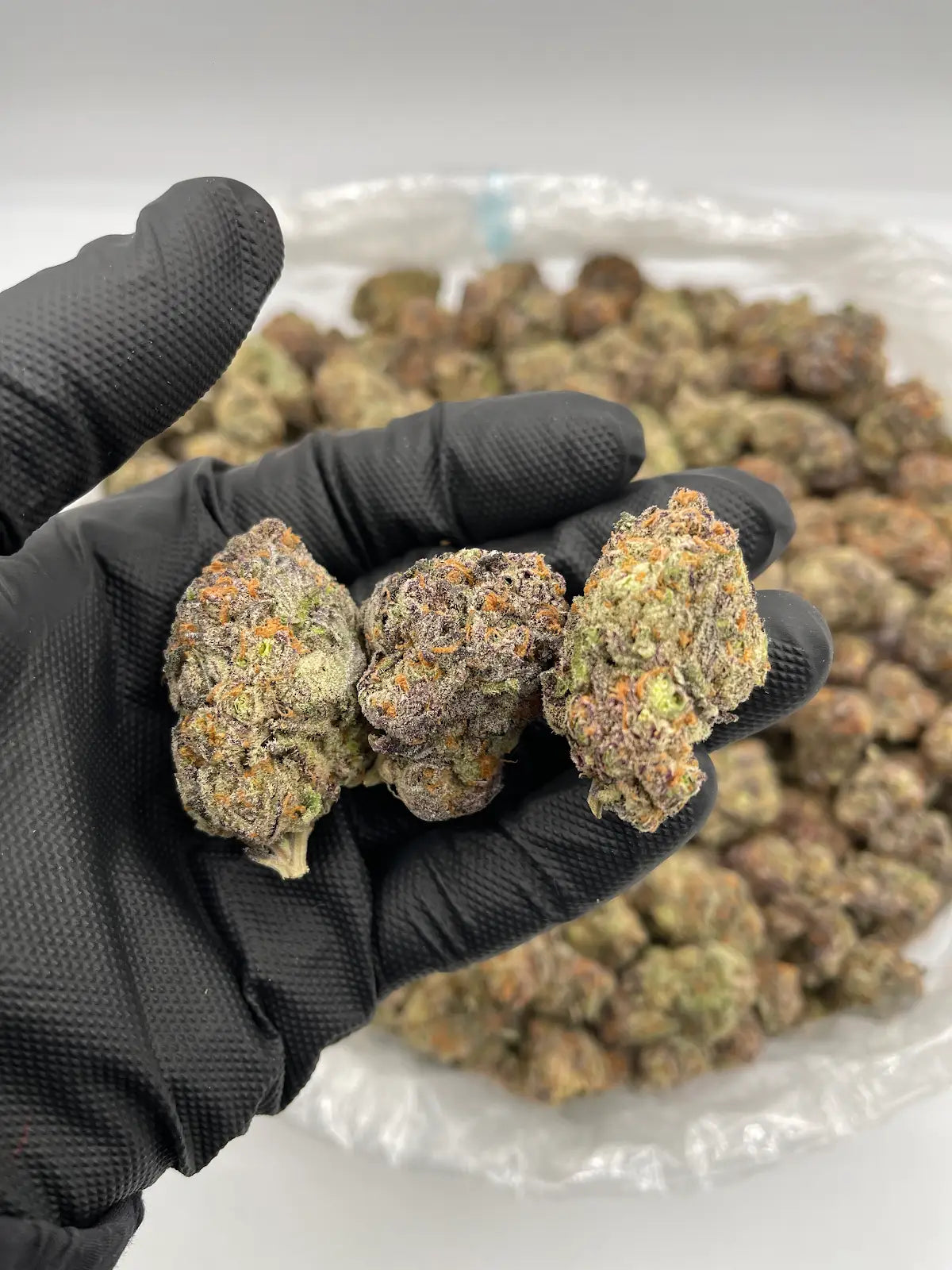 Purple Pancake